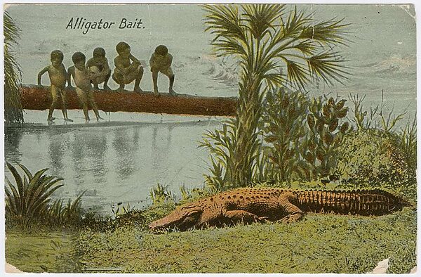 Vintage racist postcard from early 1900s showing Black children labeled as "Alligator Bait" near water with alligator, demonstrating historical racist propaganda